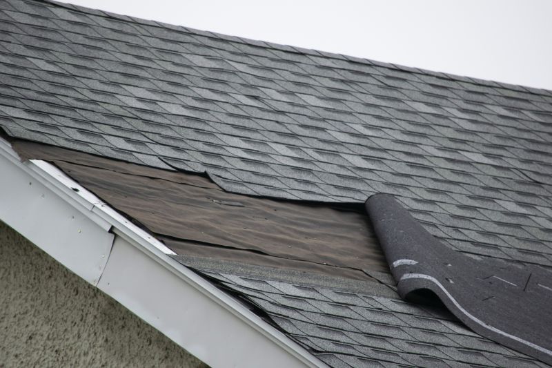 Asphalt Shingles Repair
